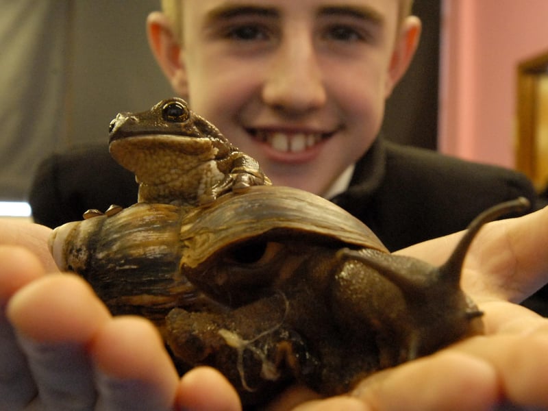 Hebburn School pupil Ryan McElwee is pictured holding a South American tree frog and a giant African snail in this reminder from 2006.