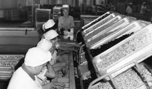 Liquorice Allsorts are picked for boxes of the sweets in 1970. A supervisor appears to be keeping a watchful eye over the staff's progress.