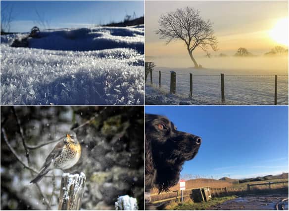 You have been sharing the best pictures taken in and around Northumberland on your daily exercise.