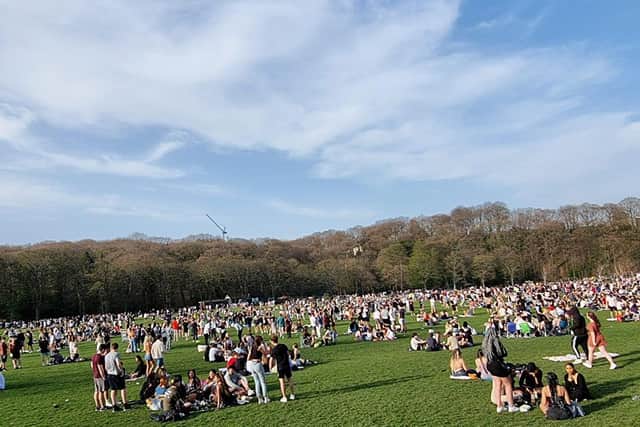 Large crowds have gathered in Endcliffe Park, Sheffield, this week