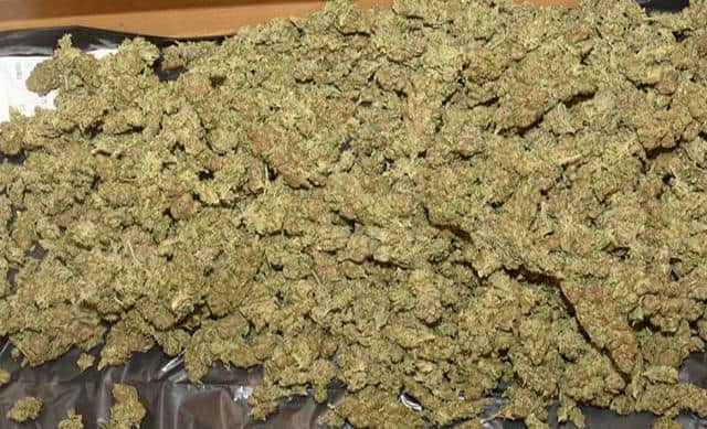 Cropped cannabis was seized by South Yorkshire Police during a raid in Parson Cross yesterday