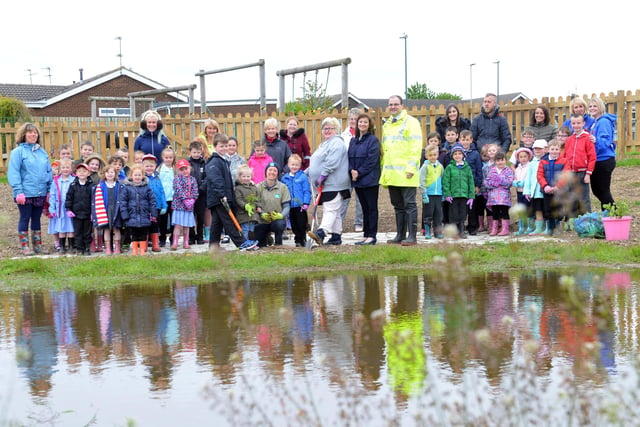 Fellgate Primary School's new pond and water plants. Remember this from 5 years ago?