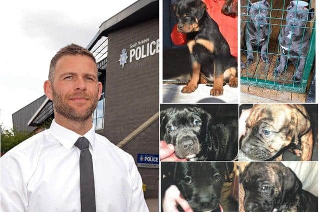 DCI Jamie Henderson, of South Yorkshire Police, has issued a warning after a number of dog thefts.