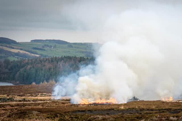 Midhope moor (Langsett) owned by Dan Richmond-Watson. The shooting lobby says burned areas are better at absorbing water than overgrazed grassland moors which have no heather.