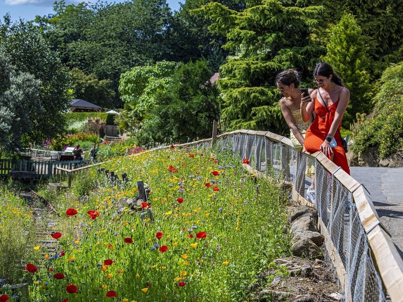 Sitting among 179 acres of beautiful woodland along the route of both the Leeds Country Way and the Meanwood Valley Trail, Golden Acre Park attracts plenty of walkers, and is known for its picturesque gardens and circular lakeside walk.