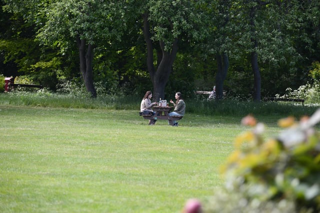 People enjoying spending time outdoors at South Marine Park.