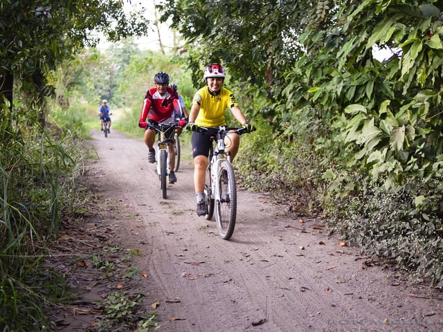 The Dukeries Cycle Trail, which links Mansfield and Worksop, is an ideal way of getting out and about to explore the local area. Covering a total of 32 miles, the route starts in Shirebrook and wends its way through the former ducal estates of Clumber, Welbeck and Thoresby.