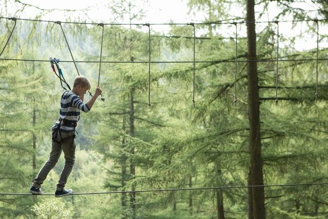 Awesome high ropes challenges where you can climb, leap and zip through the trees await daredevils aged ten years and over. Visit the website www.goape/locations/buxton