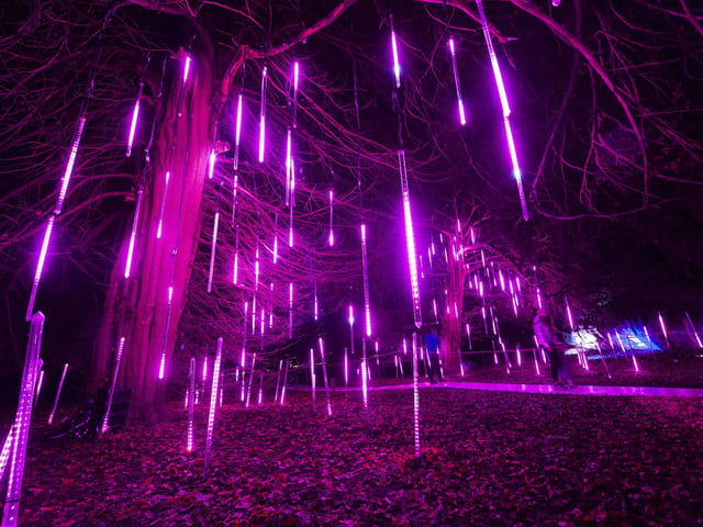 Hopetoun House grounds like you have never seen it before.