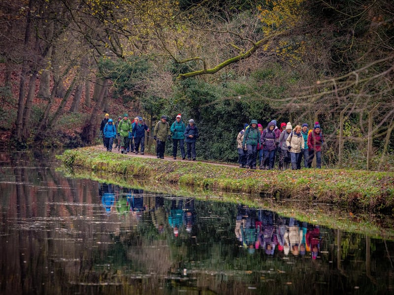You don't always need a park to have a great walk; Anna Valenchevskaya recommended taking to the towpaths. The Leeds & Liverpool canal offers miles of fantastic, flat walking routes right out into the countryside, with plenty of dog-friendly pubs along the way for a pit stop.