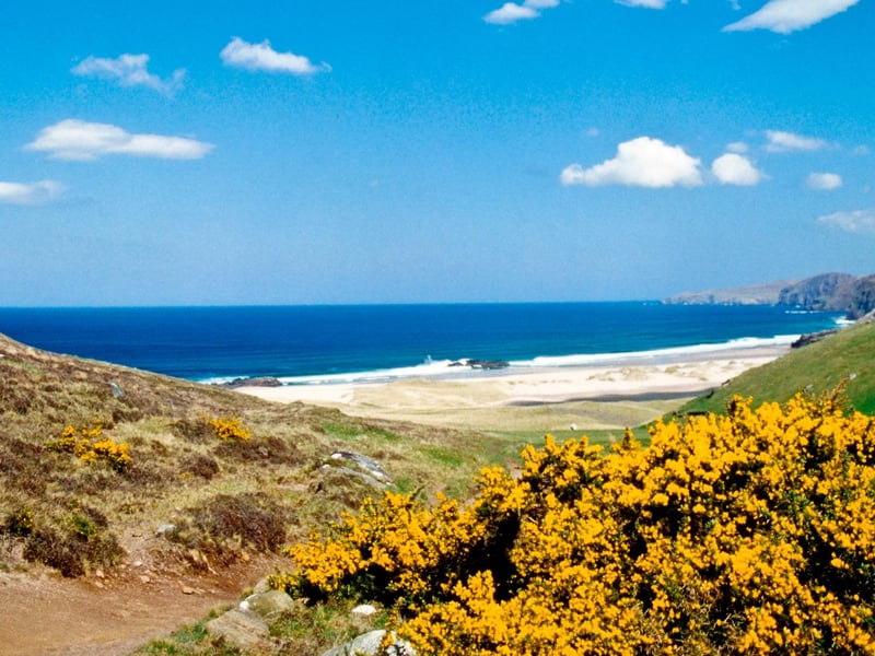 South of Cape Wrath, this isolated beach is guarded at one end by the spectacular rock pinnacle Am Buachaille. A 9-mile round-trip hike from Blairmore car park, northwest of Kinlochbervie, will bring you to this coastal jewel.