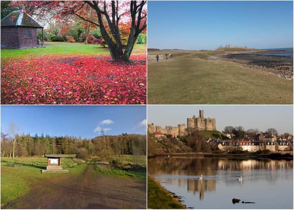 Autumn walks in Northumberland.