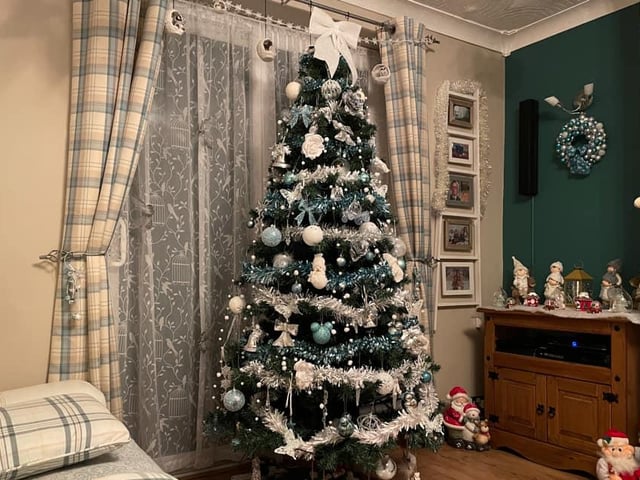 Michelle Shearer shared her tree.
