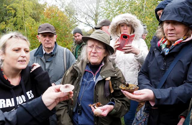 Chris Kelly of Sorby Natural History Society (centre) helping to identify mushrooms in Wardsend Cemetery