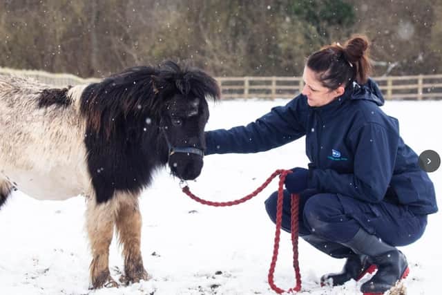 The RSPCA polled its frontline rescue teams, with the startling results highlighting fears animals in South Yorkshire and beyond will be facing a bleak winter