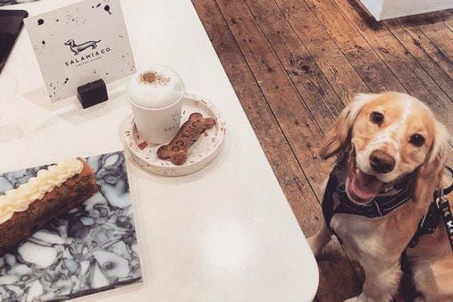 This stylish, dog-friendly cafe found in Otley is run by a friendly husband and wife team. This is the perfect spot for a tasty brunch or lunch and your pooch can enjoy it with you, as there is a specially created “hound menu” filled with doggy treats.