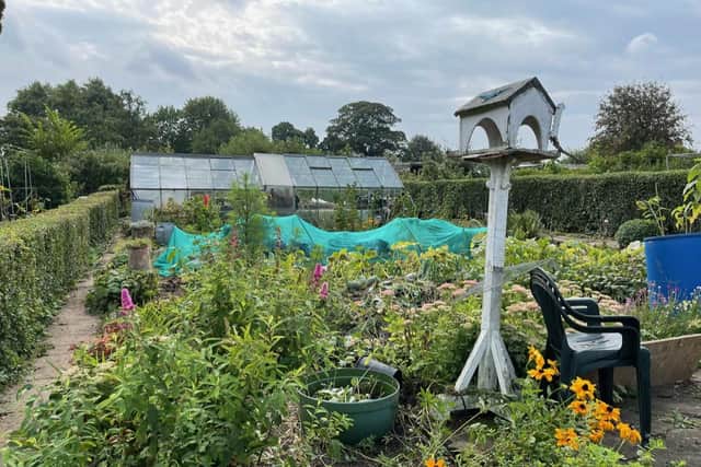 Vandals have broken in and caused damage at the Marsh Lane Allotments in Crosspool.