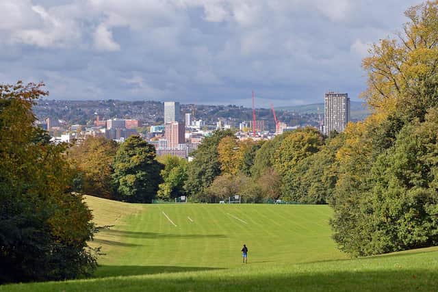 A woman said she was walking her dog at around 2pm in Norfolk Park, Sheffield, when she saw a man performing a sexual act