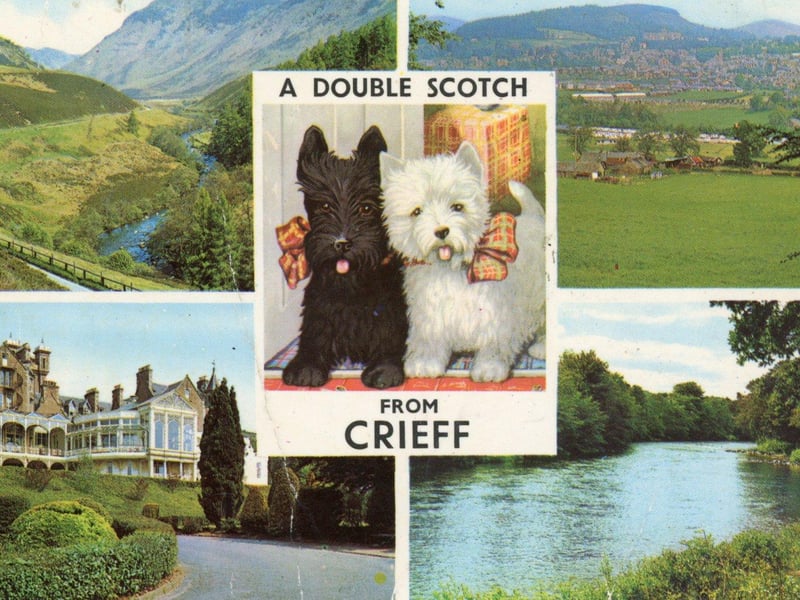 "I rather fancy the manager and a sweet little waiter with a moustache."