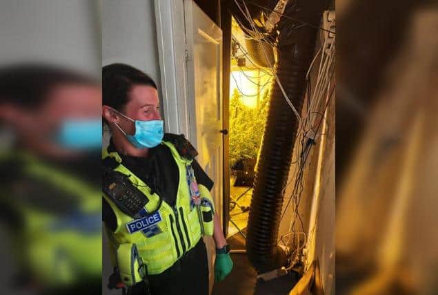 Drugs seized by police in Sheffield