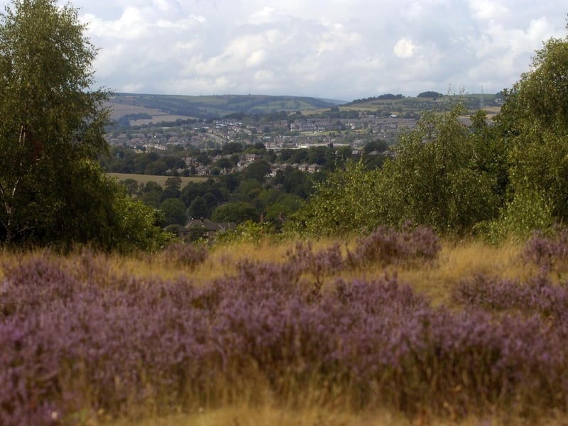 Wincobank Hill is a glorious spot in Sheffield, which even boasts an Iron Age hill fort. There's a great walk online that starts at Upper Wincobank Chapel on Wincobank Avenue that offers some parking options. Find the instructions by Googling 'Wincobank woodland walk'. While you're at it, Google Mary Anne Rawson to find out more about this amazing 19th-century anti-slavery campaigner from Wincobank Hall.