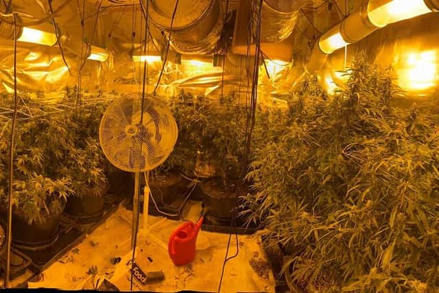 The cannabis set-up in Stannington