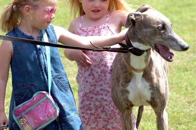 Twins,  left, Mia and Madison (3) from Hillsborough with 'Honey'  in 2004