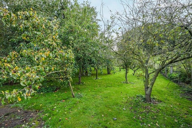 Not many properties in the middle of Kirkby come with their own orchard. This is a really pleasant bonus for would-be buyers of Halfmoon Farm.