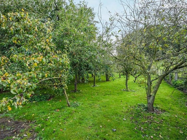 Not many properties in the middle of Kirkby come with their own orchard. This is a really pleasant bonus for would-be buyers of Halfmoon Farm.