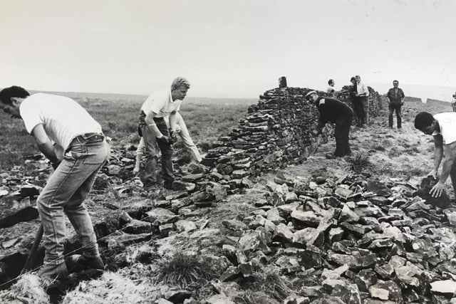 National Trust volunteers building a dry stone wall in Derwent Valley in June 1986