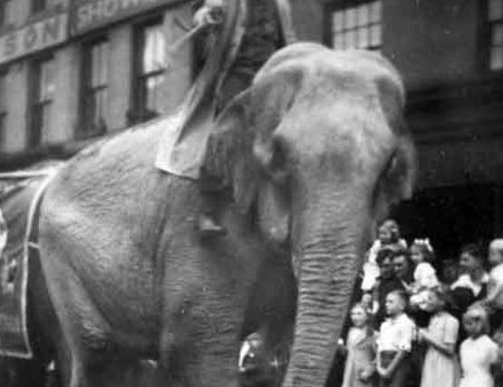 A man rides a circus elephant through Sheffield, probably passing the works of Thomas William Sampson, electrical engineers, as families look on. This photo is believed to date from between 1900 and 1919