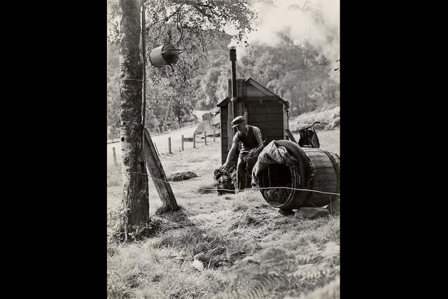 Man and his dog and a shower hanging from the tree. The photographer toured the Highlands first on a motorbike and then in a van with his work as an inspector allowing him close access to the travelling community.