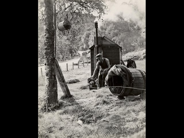 Man and his dog and a shower hanging from the tree. The photographer toured the Highlands first on a motorbike and then in a van with his work as an inspector allowing him close access to the travelling community.