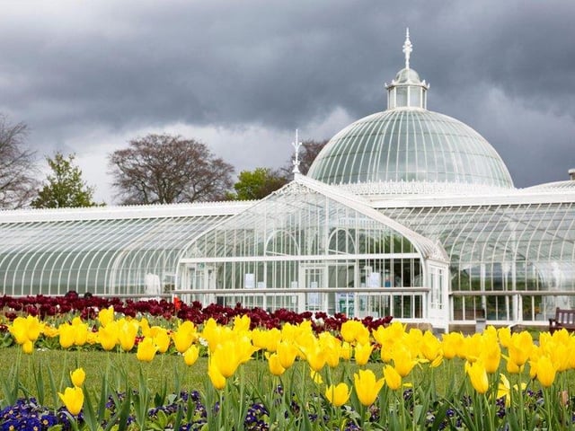 No trip to the West End of Glasgow is complete without a visit to Glasgow's Botanic Gardens to wander around the Kibble Palace. This enormous glass house was originally built for wealthy engineer John Kibble at his home on Loch Long in the 1860s, before being transported to the Botanics in 1873 and fully restored in 2004. It contains tropical plants, statues and a fish pond, and is much-loved by Glaswegians.