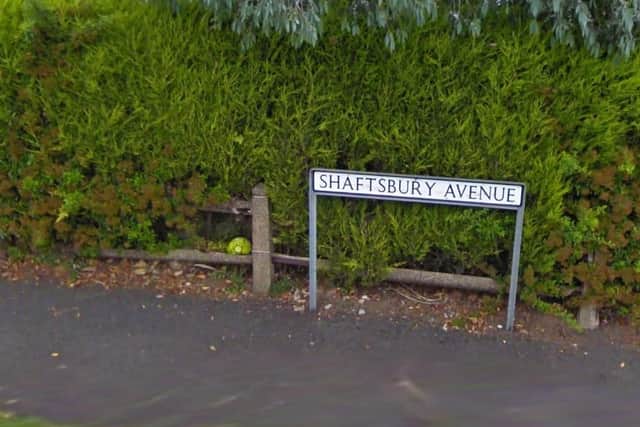 An elderly man was reportedly bitten on the arm and hand by an out of control male German Shepherd on Shaftsbury Avenue at around 8am on May 22.