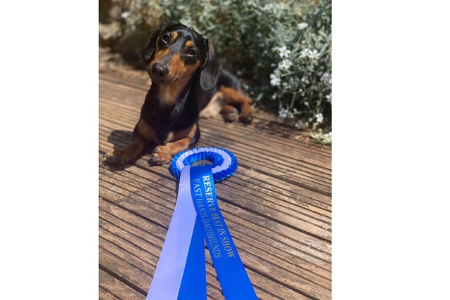 Slinky, owned by Chloe Givans, who said: 'We cant wait to receive all the prizes from the amazing sponsors and to look super handsome when we're allowed back on group walks!'

