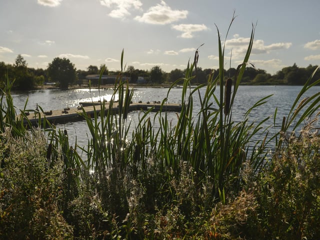 Take a walk around the reservoir and have a look at the wildlife. The cafe is also open.
