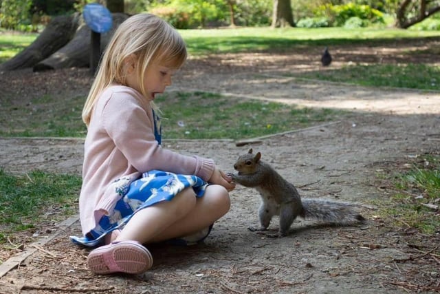 Shaunna Girling said: "My little girl a few years ago in the botanical gardens having a nice surprise."
