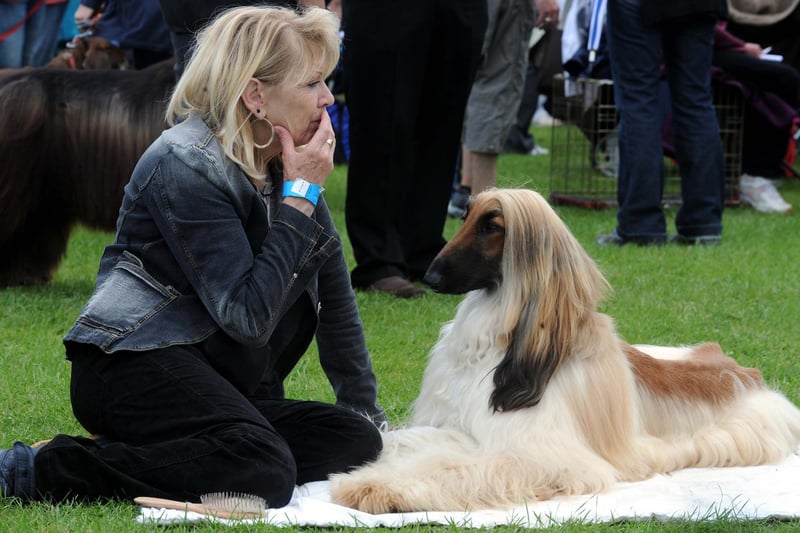 This owner made sure her pet looked its best at Bakewell Show in 2008.