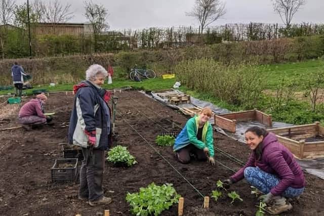 Sarah, Reynolds Fran Halsall, and Rachael McNiven at the start of planting season in April