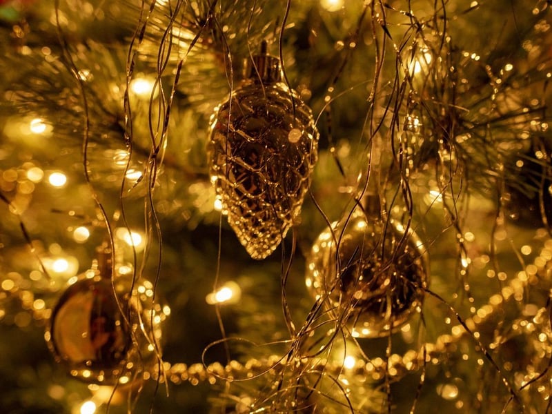 Get ready to kick off the holiday season in style! The annual Christmas Light Switch On events take place across Antrim and Newtownabbey. The first set of lights are set to be turned on at Crumlin Leisure Centre on November 21, with John Street Car Park, Randalstown, Lilian Bland Park, Glengormley, Hazelbank Park, Mossley Mill and Railway Street Car Park lights being turned on the following day, culminating in the The Square Car Park, Ballyclare turn on taking place November 30.