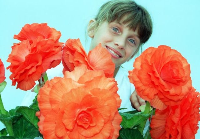 Elizabeth Stocks aged nine with the award winning flowers grown by Malcolm Ellis in Sprotbrough.