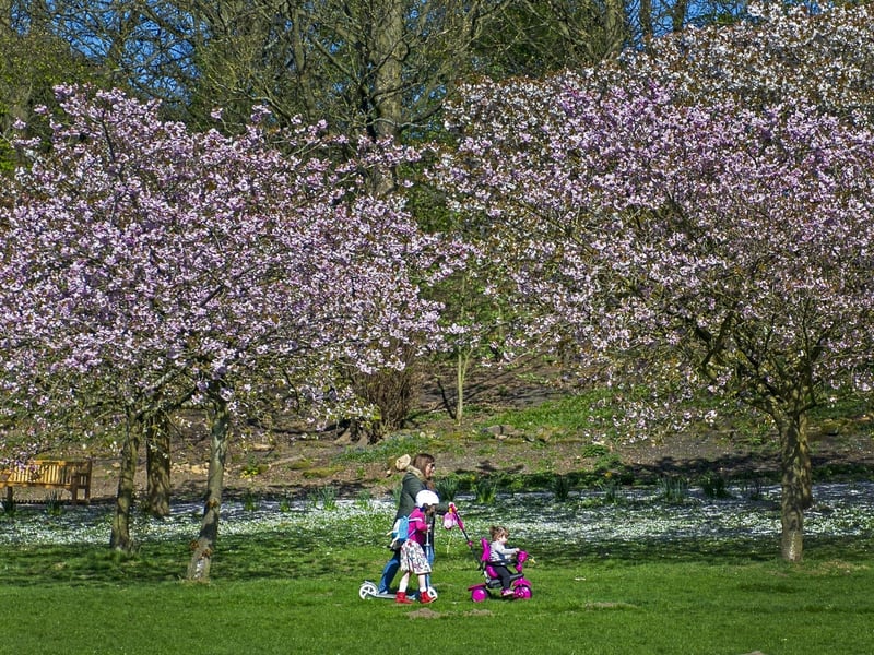 Located just six miles from Leeds city centre, Horsforth Hall Park is ideal for a gentle stroll. There’s plenty of open parkland to cover and kids can be kept entertained by the various attractions, including an adventure playground, bowling green, cricket pitch and a Japanese formal garden.