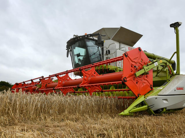 Wheat harvest at Wheatrig Farm, Longniddry.