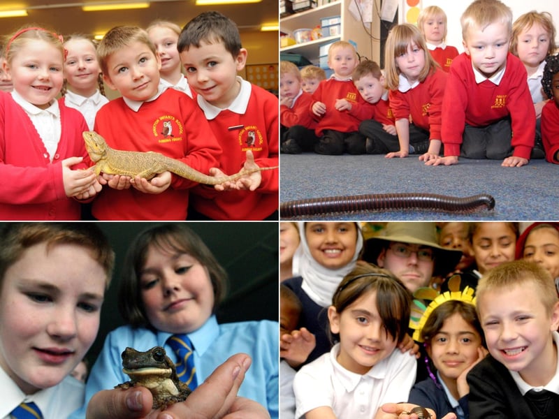 Did these cracking exotic creature scenes bring back lots of great memories. If they did, tell us more by emailing chris.cordner@jpimedia.co.uk