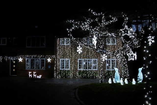 Festive Lights at Broadacres, Hatfield.