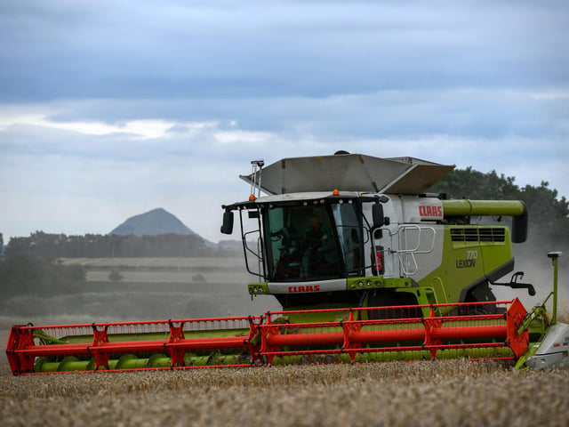 Wheat harvest at Wheatrig Farm, Longniddry. North Berwick Law Hill in the background.