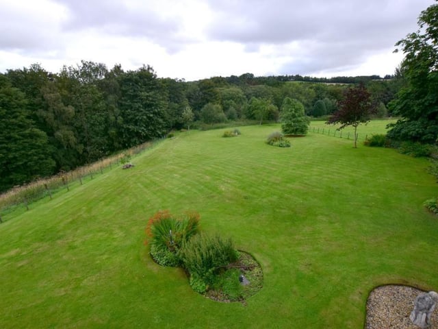 Garden.