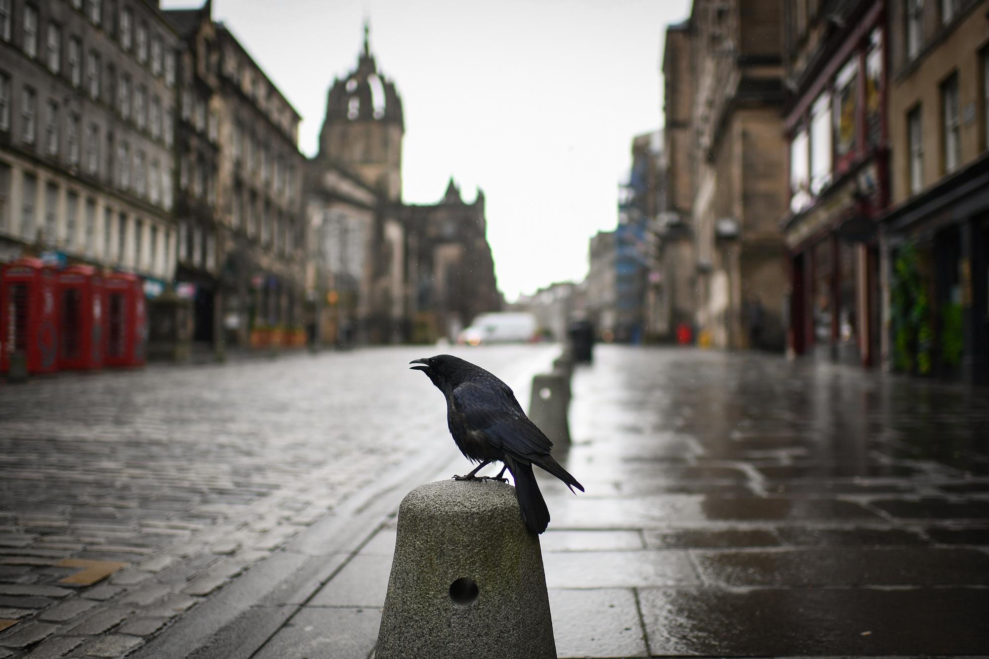 Deserted Edinburgh City Centre on January 4, 2021 in Edinburgh, Scotland.