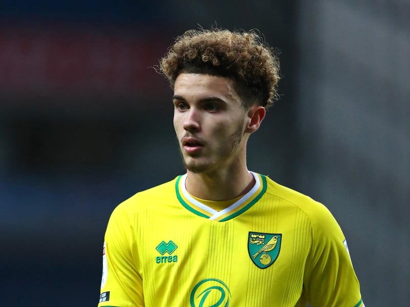 Martin is another loan signing completed by MK Dons this week, with the winger joining for the season.
The 19-year-old made seven Canaries appearances during their promotion back to the Premier League last term.